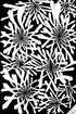 Untitled 36 Print Scott Benner