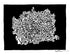 Untitled 6 Print Scott Benner