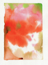Watercolor Triptych Print Grace Goad