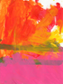 Hot Pink Orange Teal Print Grace Goad