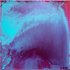 Efflorescence Print David McCauley