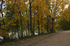 Fall in Boulder 1 Print Mike Hedrick