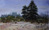 Crescent Beach Print Michael Rogan