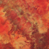 Marmalade Print Jefuri