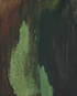 Forest Calm Print Nick Morse