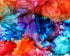 Exploring Print Selah Rose