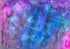 Kalianna Print Selah Rose