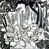 Series of Honor Print Sweet Pea