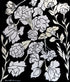 The Letter Print Sweet Pea