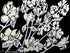 Three Hidden Pieces Print Sweet Pea