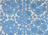 Bubbly Creek 3 Print William Douglas