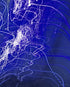 Hue Blue Print Damiano Austin