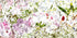 Nature's Kisses Print Michaels Lyric