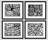 Stumped (polyptych) - ArtLifting