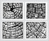 Stumped (polyptych) Print Allen Chamberland Fine Art Paper 20x16 none